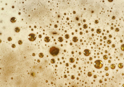 The Secrets to Better Beer Foam