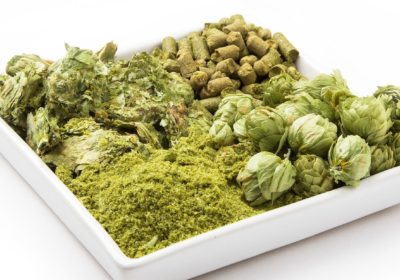 Hops: Blending and Pairing