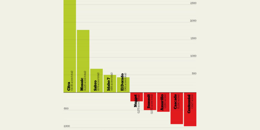 Infographic: Hop Variety Winners and Losers